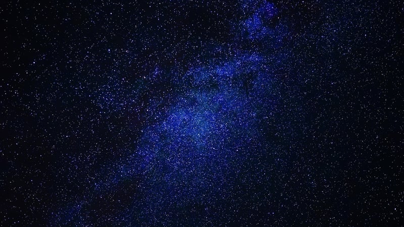 Starlit Gardens